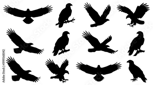 Black Eagle Silhouettes: Flying, Perching, Attack Poses - Vector Art