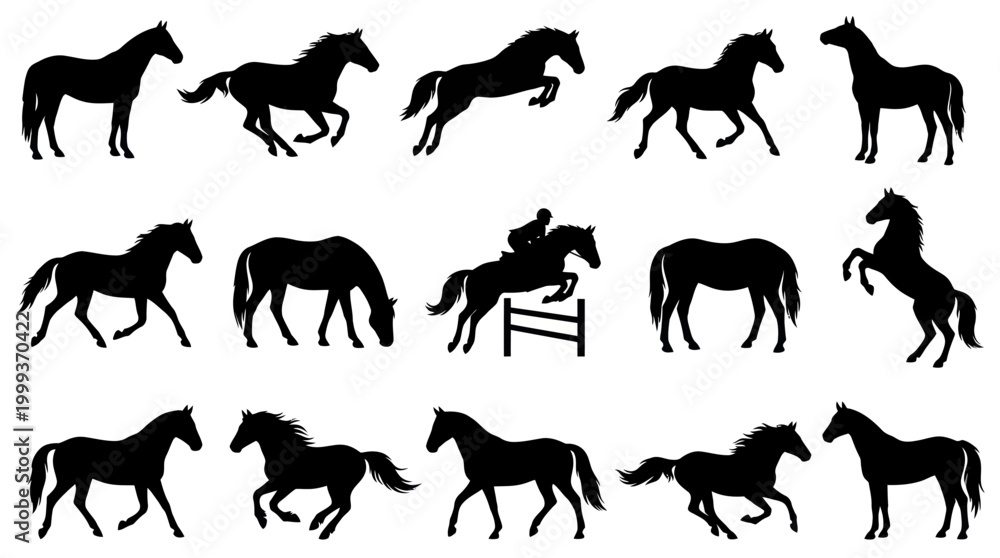 Fototapeta premium Equestrian Horses Silhouettes Vector Set - Dynamic Black Equine Animal Collection