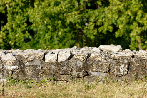 Billede på lærred Ancient stone wall with green foliage in the background on a sunny day