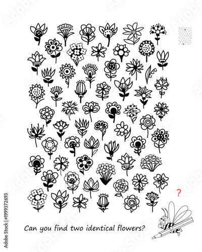 Can you find two identical flowers? Hand drawn vector illustration. Logic puzzle for children and adults. Game Seek and Find. Brain teaser book. Task for attentiveness IQ test. Black and white drawing