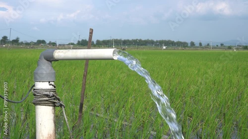 Irrigation of rice fields using pump wells with the technique of pumping water from the ground to flow into the rice fields. The pumping station where water is pumped from a irrigation canal system.