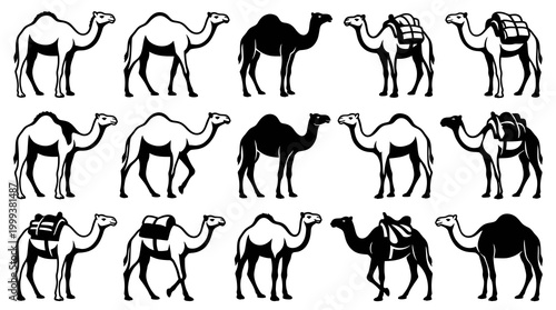 Black and white line art camels, vector set, desert animals