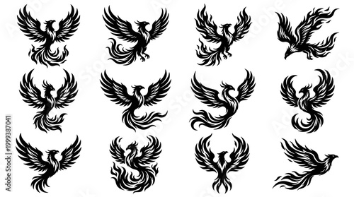 Black  White Graphic Phoenix Birds Mythology Symbolism Vector Set