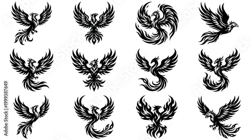 Mythological Phoenix Bird Stylized Glyph Set - Black  White Vector Illustrations