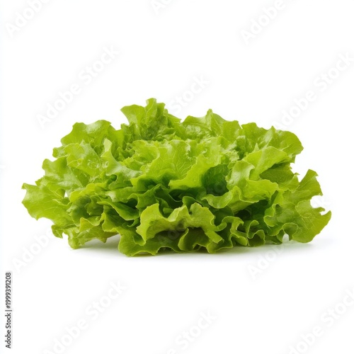 Fresh Curly Green Lettuce on White Background for Healthy Food Concepts and Culinary Uses