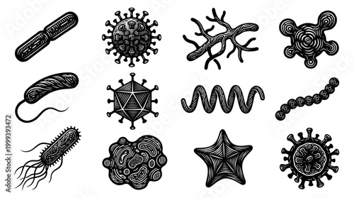 Black and White Line Art of Various Microbes and Viruses