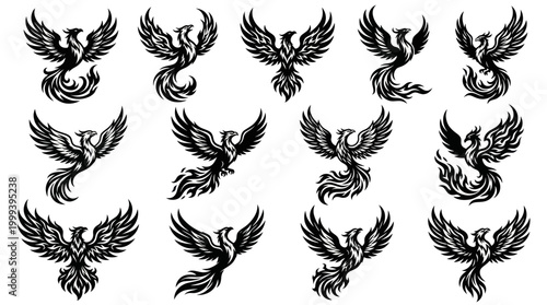 Mythical Phoenix Birds Collection - Black  White Stylized Glyphs Vector Art