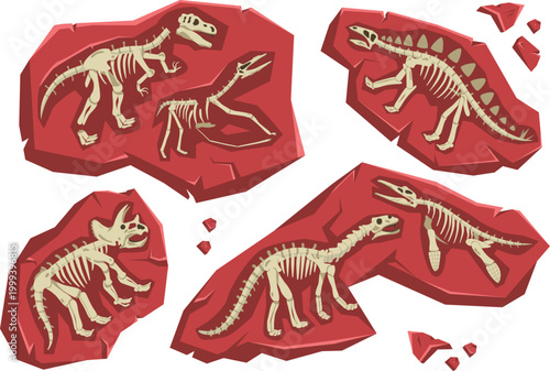 Black and white dinosaur silhouette pack with realistic skeleton anatomy details vector