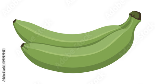 Pair of fresh green plantains isolated on a white background, perfect for Caribbean and Latin American recipes.