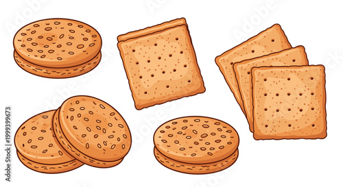 Assortment of healthy whole grain crackers in round and square shapes, perfect for a balanced snack or appetizer.