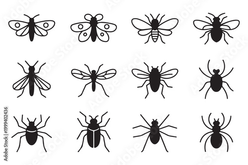 Set of Outline Insect Icons on White Background