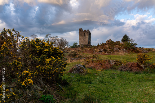 Φωτογραφία Dolwyddelan Castle keep viewed across open moorland with flowering gorse in the