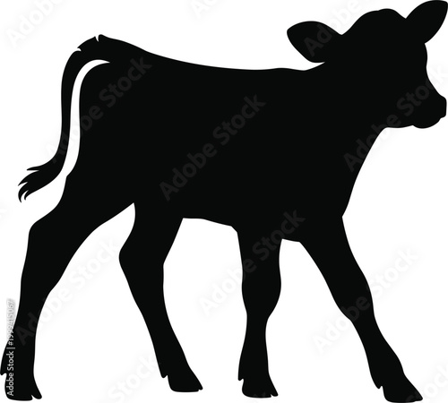 Black silhouette of a young calf standing with its head turned to the right on a white background animal