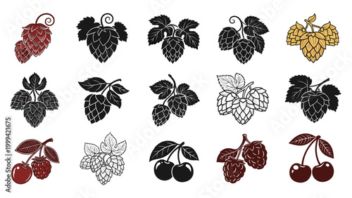 Collection of hop cones fruit and berry illustrations featuring silhouettes outlines and colored versions for brewing.