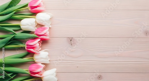 Soft Pink Tulip Elegance Minimal Floral Scene
