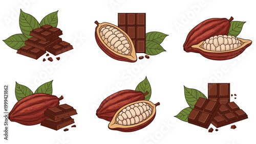 Cocoa pods and chocolate bar illustrations with green leaves depicting the process from raw fruit to finished product.