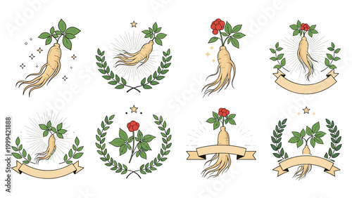 Ginseng root and plant emblems featuring green leaves and decorative wreaths for herbal medicine and health products.