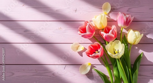 Soft Pink Tulip Elegance Minimal Floral Scene
