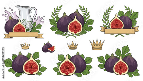 Ripe purple fig fruits shown whole and sliced with green leaves and decorative wreaths for gourmet food and farming themes.