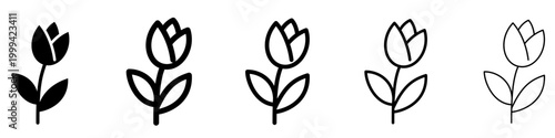 Set of tulip flower icons with leaves on a stem. Graphic elements with different line weights, symbolizing spring, nature, or floristry. Vector illustration.