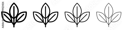Set of plant icons with three leaves on a single stem. Graphic elements with different line weights, symbolizing growth, nature, ecology, and organic products. Vector illustration.