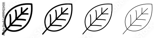 Set of leaf icons with veins. Graphic elements with different line weights, symbolizing nature, ecology, organics, and the plant world. Vector illustration.