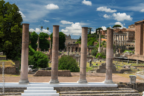 the roman forum archaeological site in rome italy