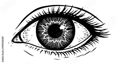 Vintage engraved human eye illustration in black and white style
