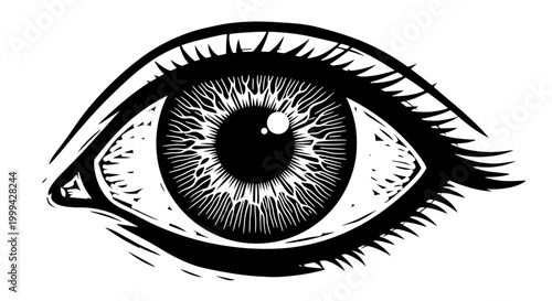 Vintage engraved human eye illustration in black and white style