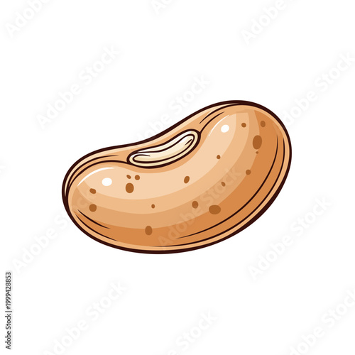 Single Kidney Bean Illustration Close Up Natural Organic Food Ingredient Detail