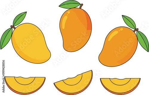 Colorful mango fruit illustration collection featuring whole mangoes with leaves and sliced mango pieces showing vibrant yellow flesh