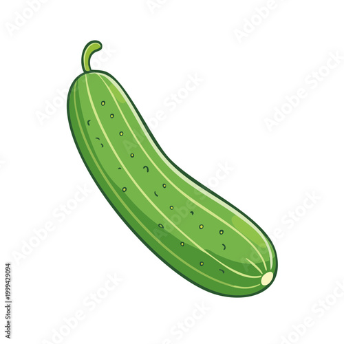 Fresh green cucumber vegetable isolated on white background with green stem