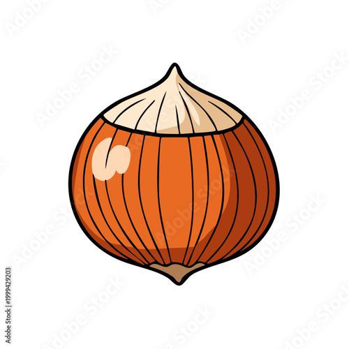 Isolated cartoon hazelnut illustration healthy natural food ingredient