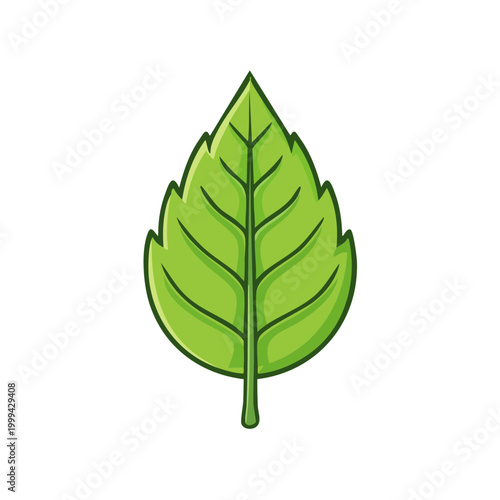 Green Leaf Vector Illustration Simple Clean Nature Element
