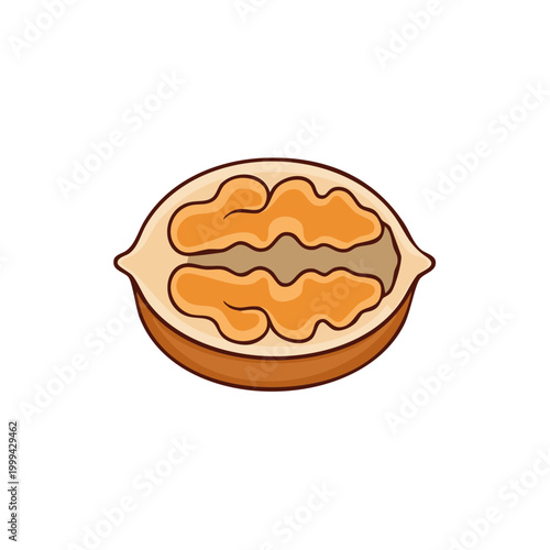 Half of a brown walnut with a kernel inside in a simple illustration style
