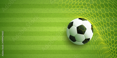 green grass texture with a soccer ball - well groomed turf in the garden