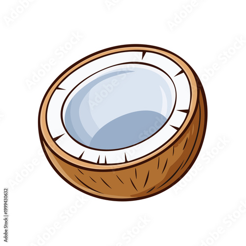 Illustration of a cut coconut showing white flesh and brown husk with a white background