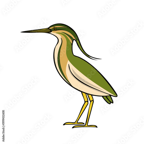 Standing heron with yellow legs and long beak, profile view, green and yellow plumage