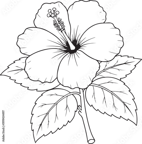 Hand drawn cute potted blooming Line Art flowers coloring page for adults and kids
