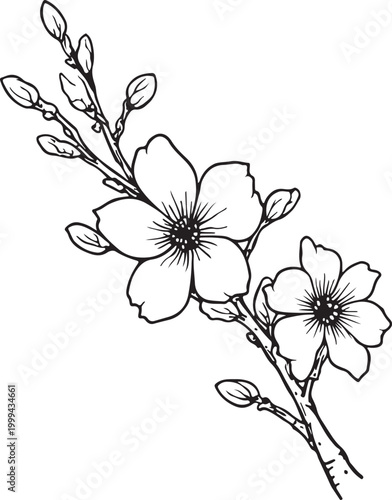 Hand drawn cute potted blooming Line Art flowers coloring page for adults and kids