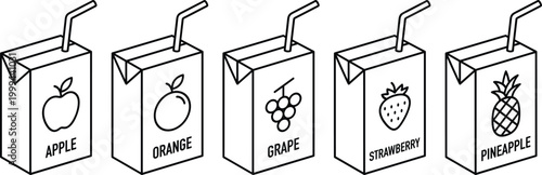 Line Art Juice Box Set with Fruit Labels Apple Orange Grape Strawberry Pineapple and Straw Packaging Design for Beverage Illustration Vector Collection