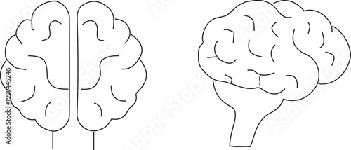 Brain, human brain, cerebral, anatomy icons, line art, black and white, vector illustrations, neuroscience, medical symbols