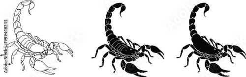 Detailed scorpion vector illustration set featuring minimalist line art, realistic black silhouettes, and bold insect icons isolated on white background for design.
