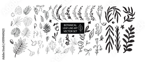 Hand Drawn Botanical Leaf Set Line Art Vector Collection Minimal Foliage Outline Elements Floral Nature Clipart Isolated on White Background