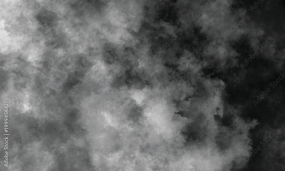 Fototapeta premium Foggy atmosphere with a cinematic dark tone