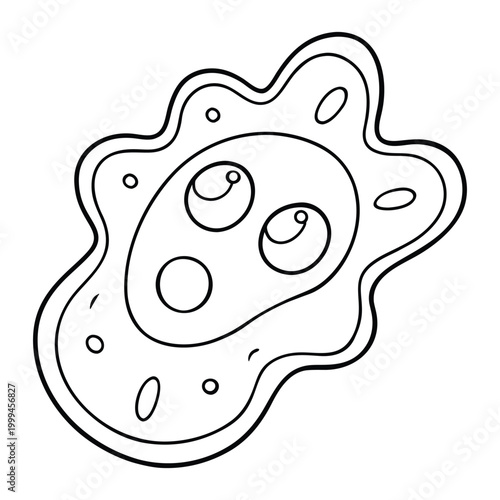 Amoeba proteus is a single-celled organism with an irregular shape. It has a flexible membrane, cytoplasm, nucleus, and pseudopodia used for movement and feeding.
