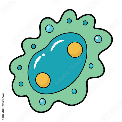 Amoeba proteus is a single-celled organism with an irregular shape. It has a flexible membrane, cytoplasm, nucleus, and pseudopodia used for movement and feeding.

