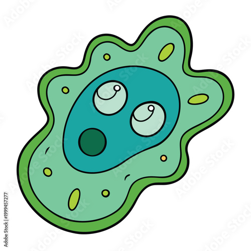 Amoeba proteus is a single-celled organism with an irregular shape. It has a flexible membrane, cytoplasm, nucleus, and pseudopodia used for movement and feeding.
