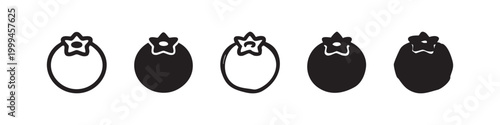 Blueberry Fruit Icon Set in Linear and Solid Minimalist Styles