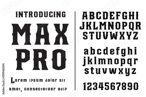 A vintage western style slab serif typeface featuring uppercase and lowercase letters, numbers, and punctuation marks, isolated on a white background.